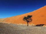 09 SOSSUSVLEI 028.jpg