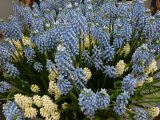 P1000241.JPG