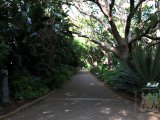 02 CAPEBOTANICGARDEN 002.jpg