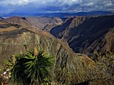_MG_5613.jpg