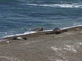 _MG_2234.jpg