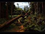 _MG_7077.jpg