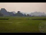 _MG_9494.jpg