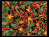 77D4B7D3-AE55-4AB2-8506-C0B706A1E1BC.jpeg