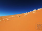 09 SOSSUSVLEI 024.jpg