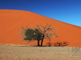 09 SOSSUSVLEI 031.jpg