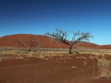 09 SOSSUSVLEI 033.jpg