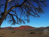 09 SOSSUSVLEI 034.jpg