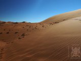 09 SOSSUSVLEI 038.jpg