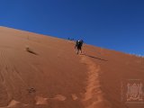 09 SOSSUSVLEI 039.jpg