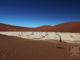 09 SOSSUSVLEI 043.jpg