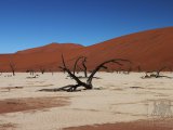 09 SOSSUSVLEI 044.jpg