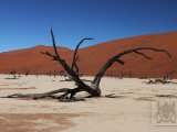 09 SOSSUSVLEI 045.jpg