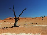 09 SOSSUSVLEI 046.jpg