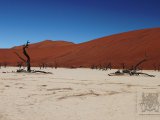 09 SOSSUSVLEI 047.jpg