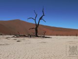 09 SOSSUSVLEI 049.jpg