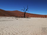 09 SOSSUSVLEI 050.jpg