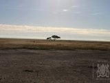 18 ETOSHA020.jpg