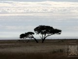 18 ETOSHA024.jpg