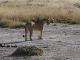 18 ETOSHA025.jpg