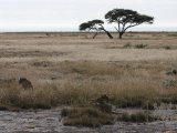 18 ETOSHA027.jpg