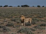 18 ETOSHA034.jpg