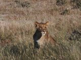 18 ETOSHA037.jpg