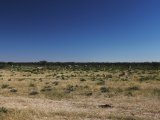 18 ETOSHA057.jpg