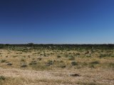 18 ETOSHA057.jpg