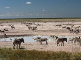 18 ETOSHA071.jpg