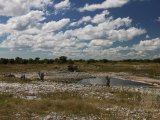 18 ETOSHA093.jpg